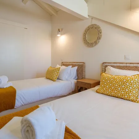 Apartment Spacious W. Beautiful & Sunny Private Terrace Porto